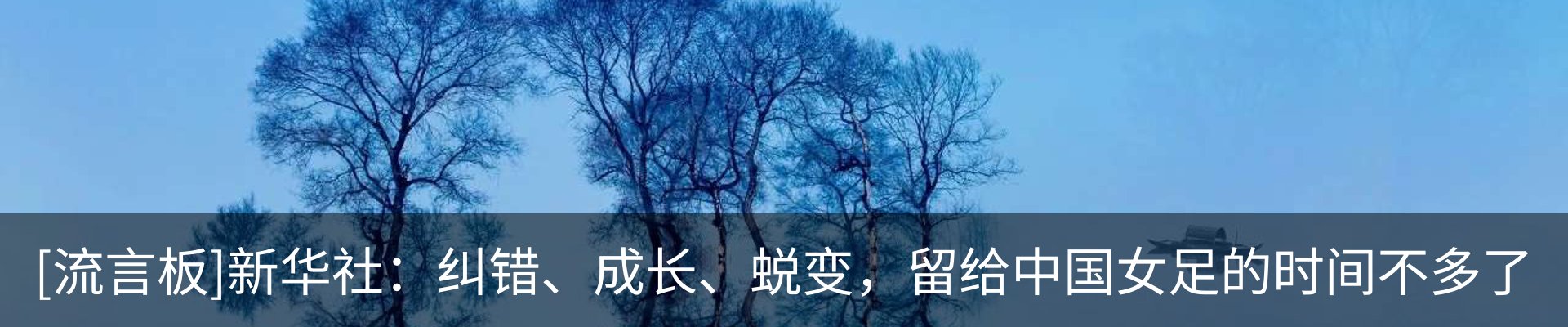 新闻动态